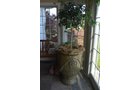 Property photo 84 - PERSONAL PROPERTY AUCTION IN ALLEN COUNTY, INDIANA